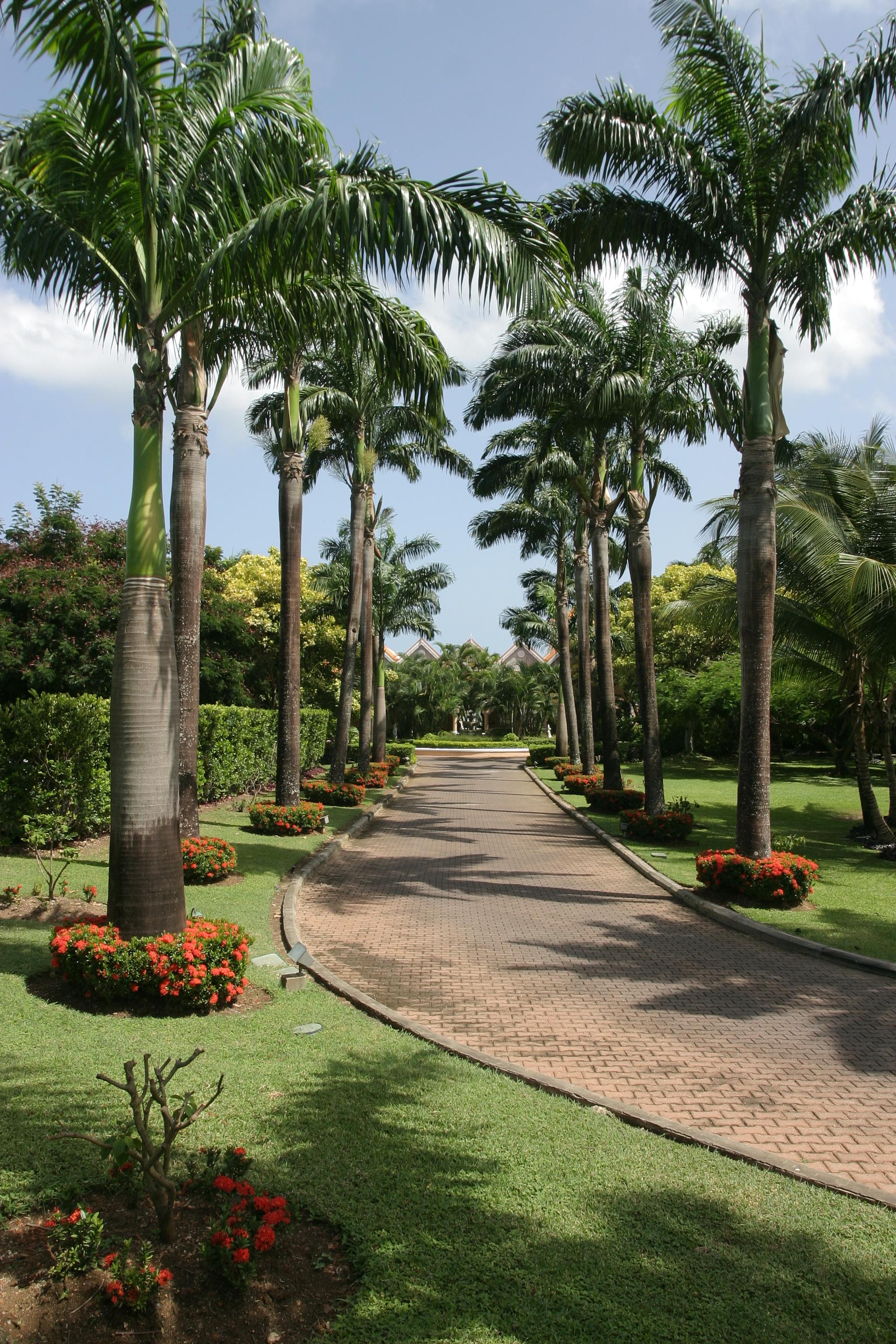 Coco Reef Resort & Spa Crown Point Zewnętrze zdjęcie